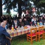 rizomata ag athanasios 2014 (7)