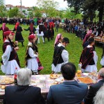 rizomata ag athanasios 2014 (9)